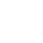 Logoblancicon